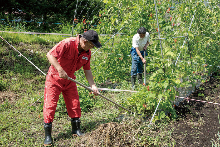 清潔なバス、身だしなみ