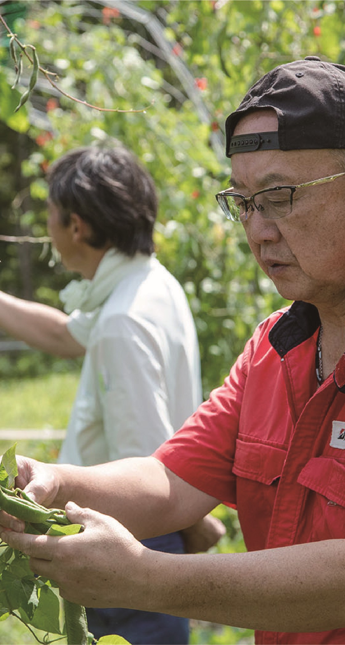 群馬グリーン交通の観光貸切バス